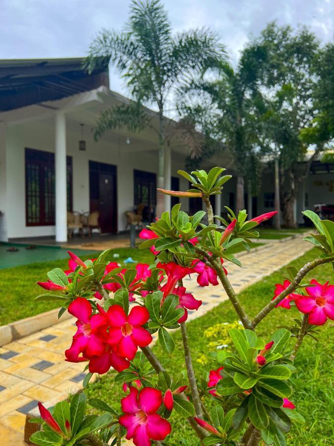 Sigiriya Green Garden Home Buitenkant foto